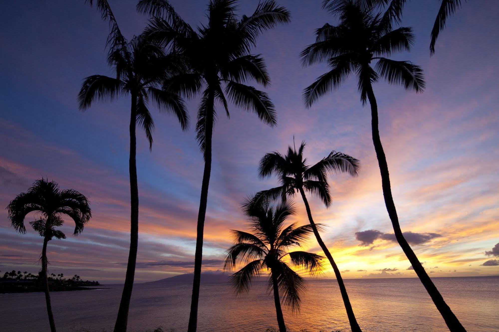Napili Kai Beach Resort Kapalua Εξωτερικό φωτογραφία